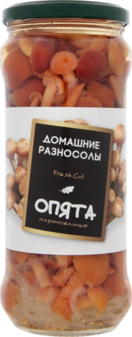 Грибы консервированные Домашние разносолы Опята маринованные, 530 г
